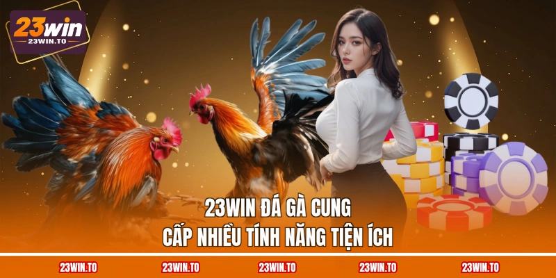 23WIN Đá Gà - 3 Trường Đấu Tiếp Sóng Chọi Kê Uy Tín - Slotrova88