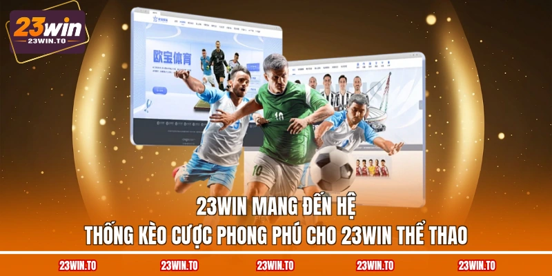23WIN Thể Thao - 5 Công Cụ Hỗ Trợ Soi Kèo Mỗi Ngày - Slotrova88