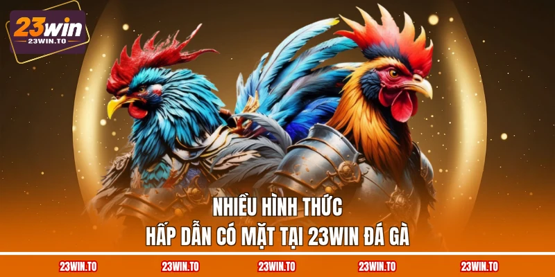 23WIN Đá Gà - 3 Trường Đấu Tiếp Sóng Chọi Kê Uy Tín - Slotrova88