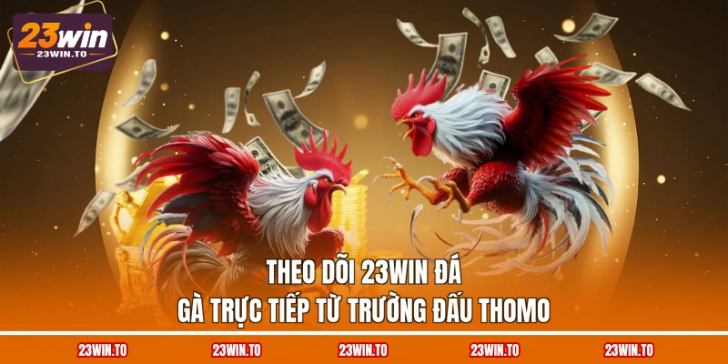 23WIN Đá Gà - 3 Trường Đấu Tiếp Sóng Chọi Kê Uy Tín - Slotrova88